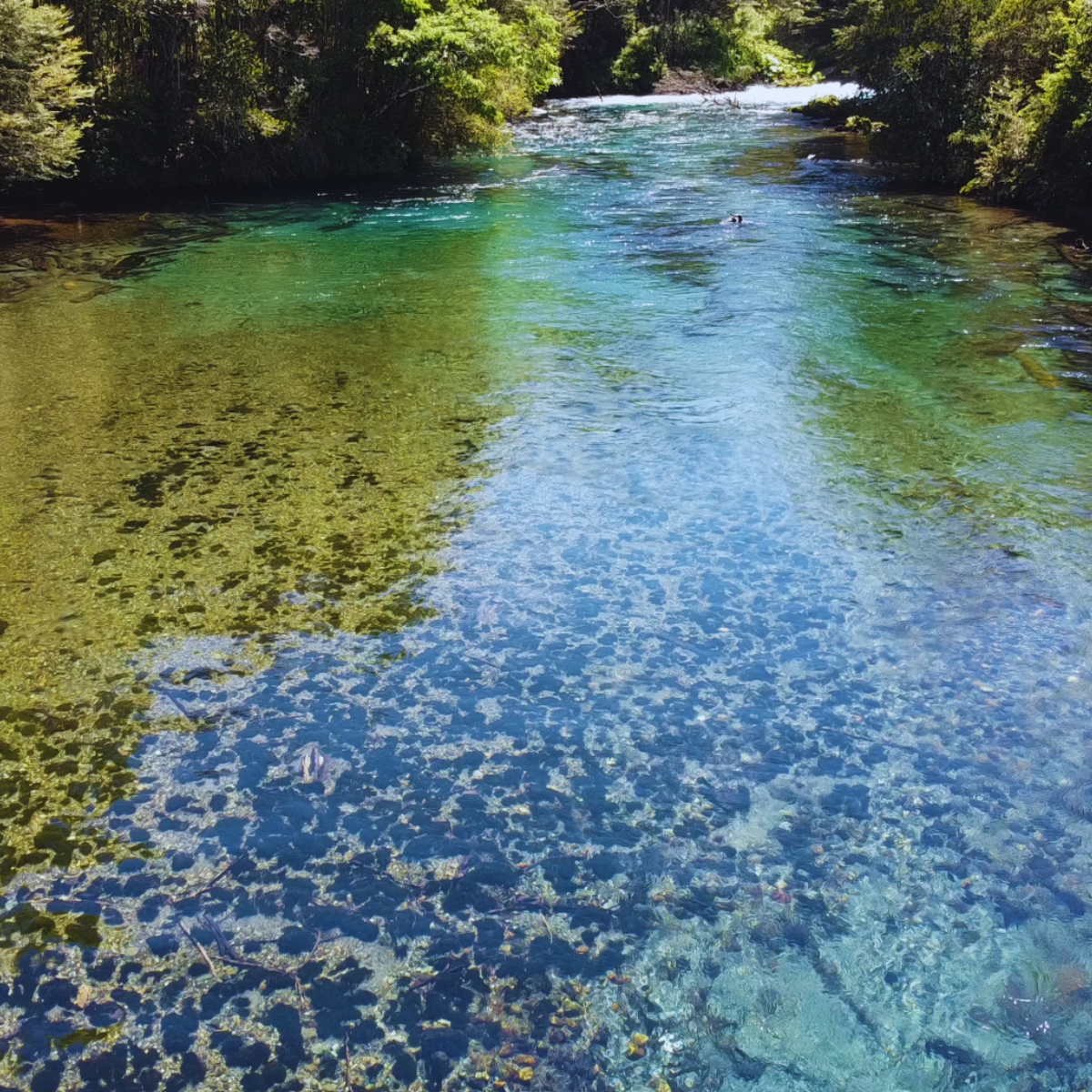 flotada familiar por el río liucura
