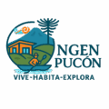 logo ngen sin fondo