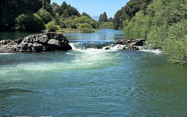 parcela río trancura​ 001