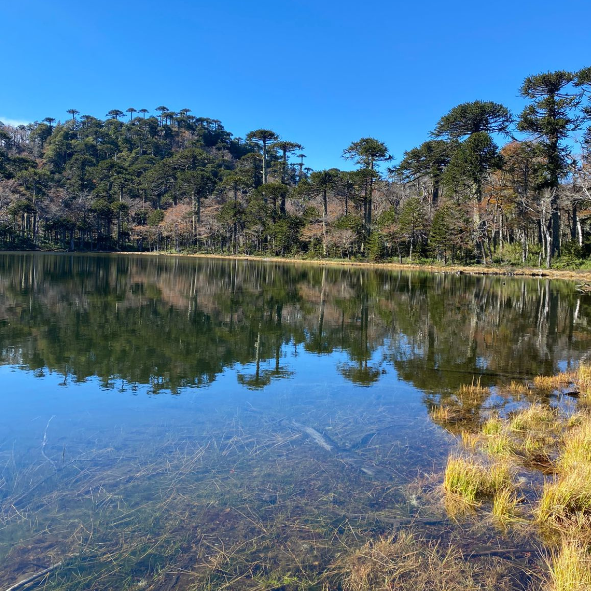 trekking al santuario cañi