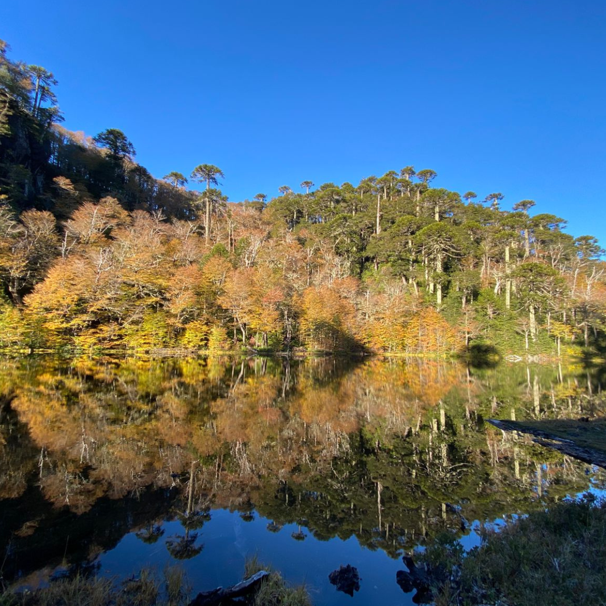 trekking al santuario cañi