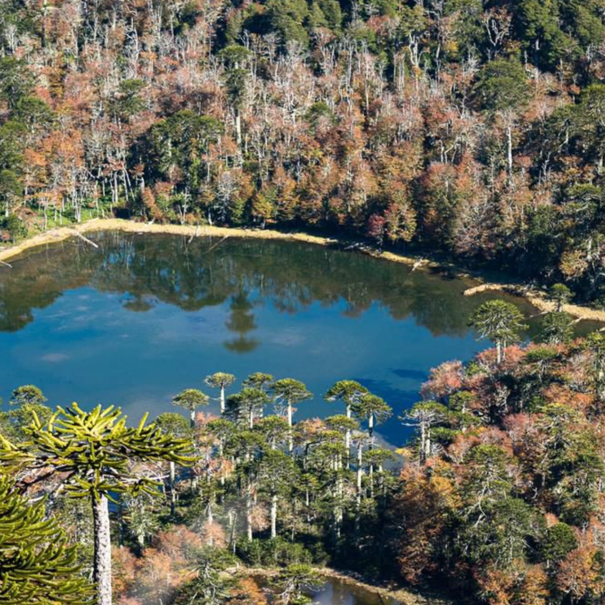 trekking al santuario cañi