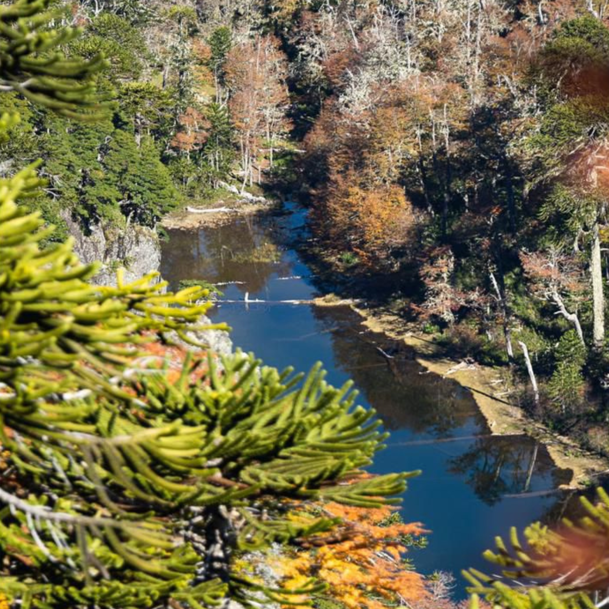 trekking al santuario cañi