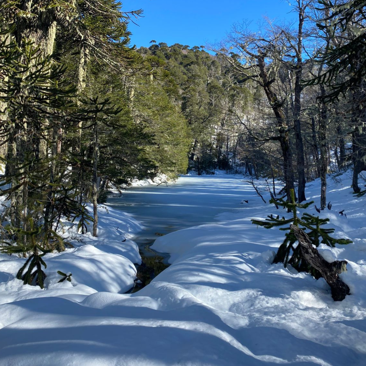 trekking al santuario cañi