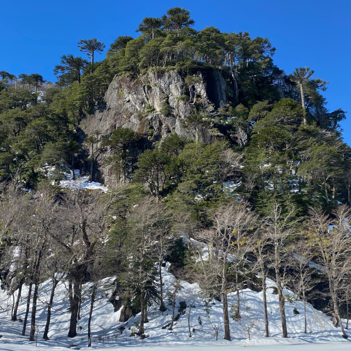 trekking al santuario cañi